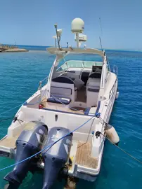 Speed boats 175